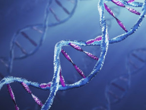 Hershey & Chase, (1952)