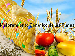 Mejoramiento Genético