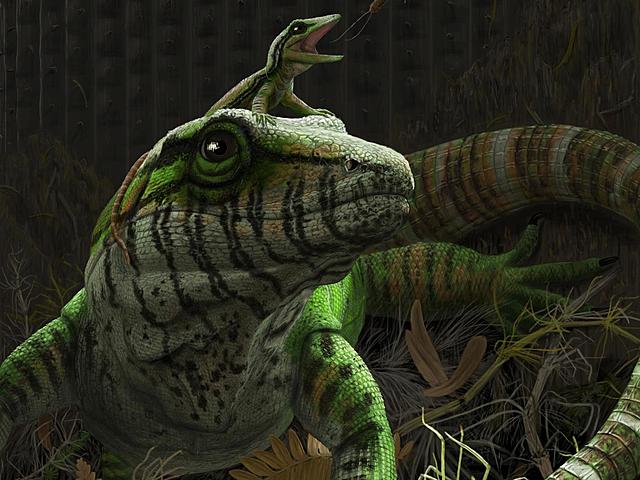 Reptiles First Appear (330 million years ago)
