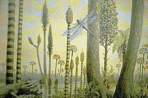 First Land Plants (430 million years ago)