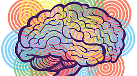 Timeline: La Neuropsicología en el tiempo