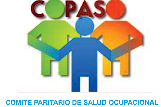 Resolución 2013