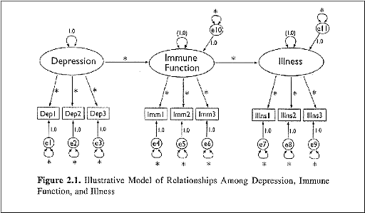 PATN ANALYSIS Y STRUCTURAL EQUATION MODELING
