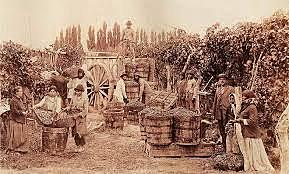 México revolucionario y su administración