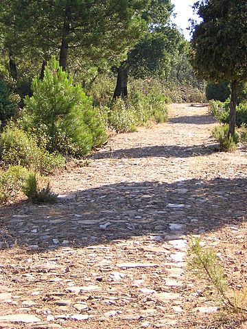 PERSIA. INICIO PRIMERA RED DE CAMINOS. INCLUYE CAMINO REAL PERSA.