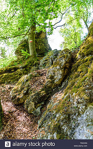 CIUDAD DE UR. UTILIZARON LADRILLOS PARA PAVIMENTAR CALLES