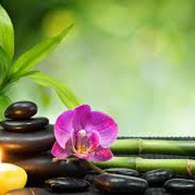 Timeline: linea del tiempo sobre terapias naturales