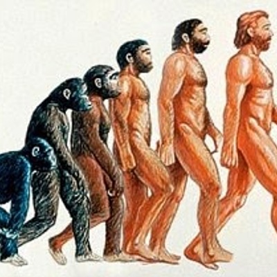Timeline: Evolució homínids