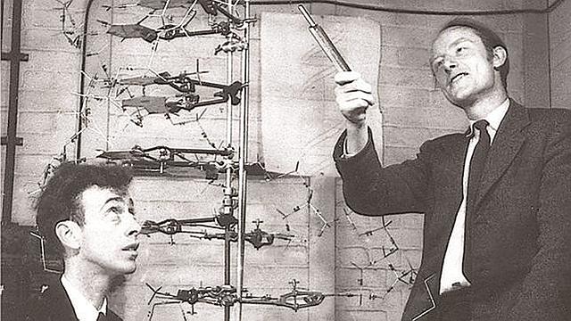 James Watson i Francis Crick descobreixen l’estructura del ADN