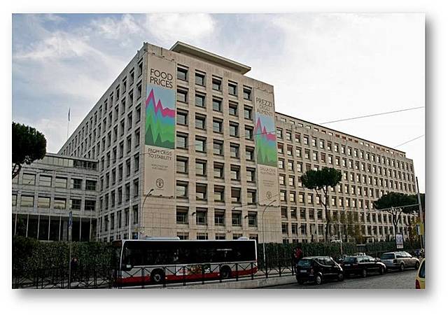 FAOComposição da organização