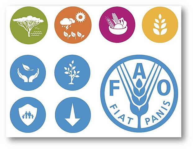 FAO-Objetivos e finalidades da organização
