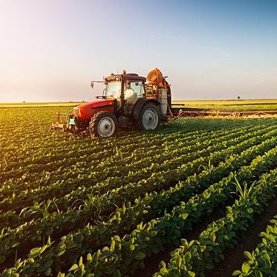 Timeline: Derecho Agrario e México