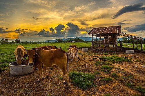 Objetivos de la Ley Lerdo