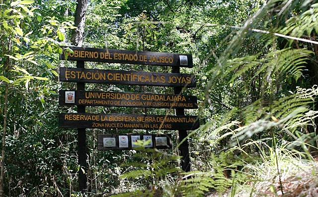 Laboratorio Natural las Joyas en la Sierra de Manantlán