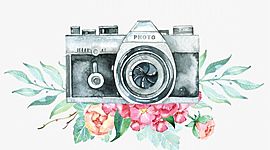 Timeline: Historia de las cámaras fotográficas