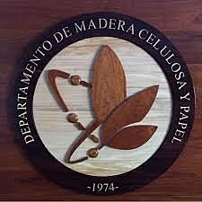 Instituto de Madera, Celulosa y papel