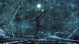 Timeline: Evolución e Historia de los RED