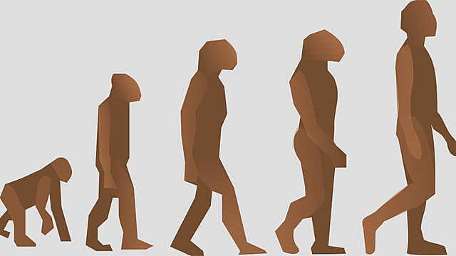Surgimiento de los Primeros Humanos