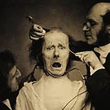 The Expression of Emotions in Man and Animals