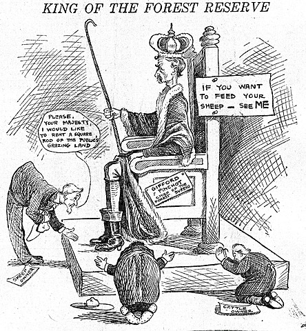 Forest Reserve Act 1891