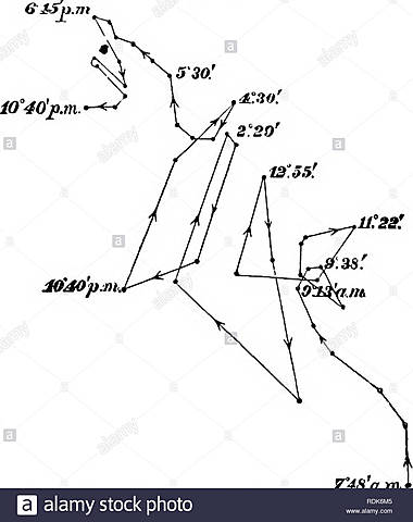 The Power of Movement in Plants