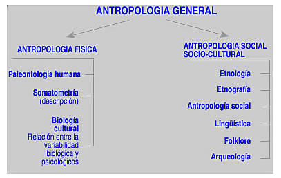 Los antropólogos pueden elegir cualquier aspecto de la cultura que estudian