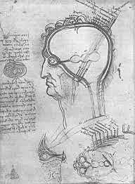 el funcionamiento del ojo al percibir las cosas.