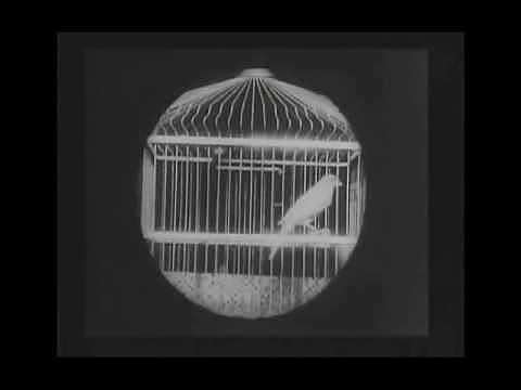 George Albert Smith y el Primer Plano