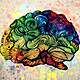 Cerebro coloreado