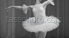 Timeline: Павлова Анна Павлівна