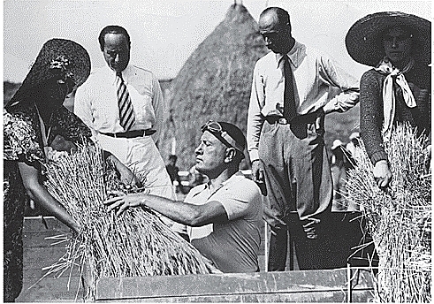 Implantación Batalla del Trigo