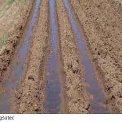 Timeline: HISTORIA DE LOS RIEGOS