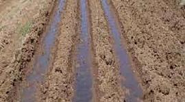 Timeline: HISTORIA DE LOS RIEGOS