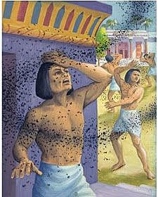 4ª Plaga Dios envió una plaga de  tábanos.