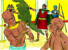 6ª Plaga de las llagas.