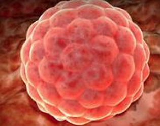 17 de Abril 2020 | Semana 1