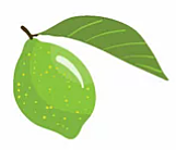 26 de Junio 2020 | Semana 11