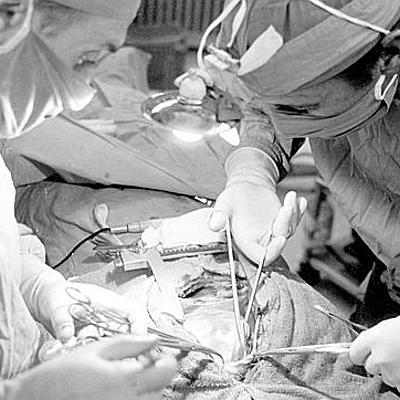 Timeline: Nerea i Erika Timeline