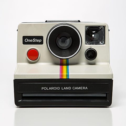 polaroid land