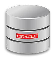 Nace la futura Oracle