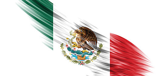 Constitución Política de los Estados Unidos Mexicanos