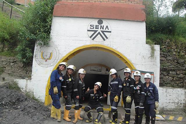 Técnico Profesional