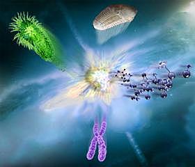 Aparición de la vida