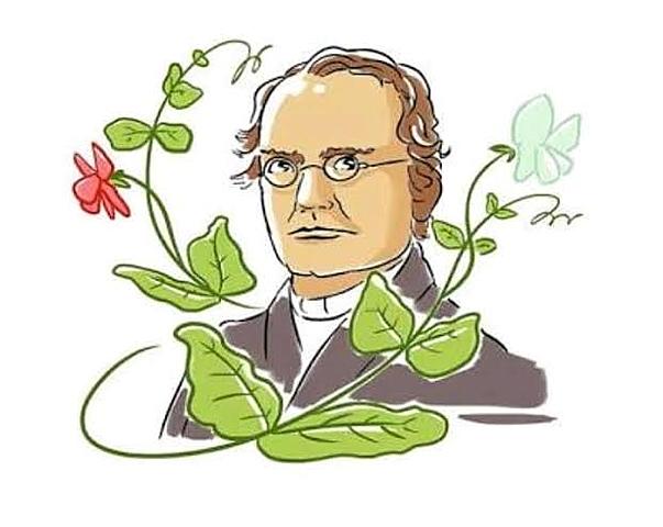 Gregor Mendel