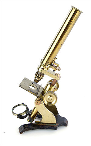 El microscopio compuesto