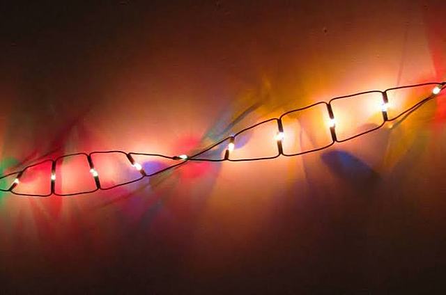 Ronald A. Fisher, John B. S. Haldane  y Sewall Wright