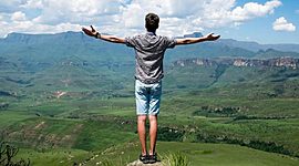 Timeline: Linea de vida