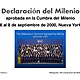 Declaracion del milenio 2000 1 638