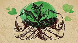 Timeline: Evolución del Pensamiento Ambiental y Sostenible.