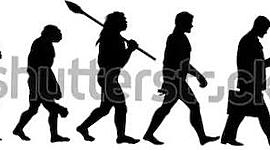 Timeline: Evolución Histórica de La Administración de Empresas